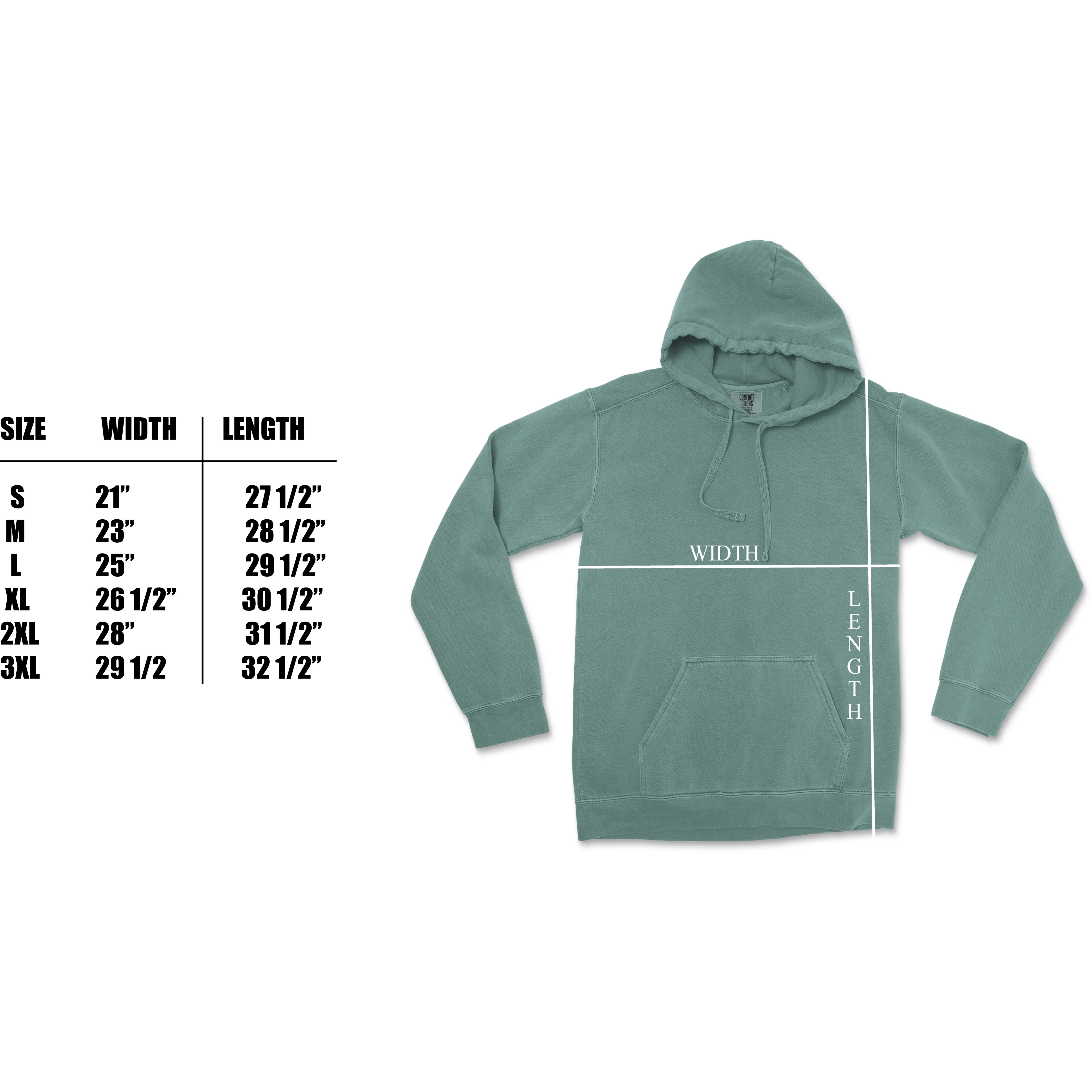 Big Bend National Park Comfort Colors Hoodie