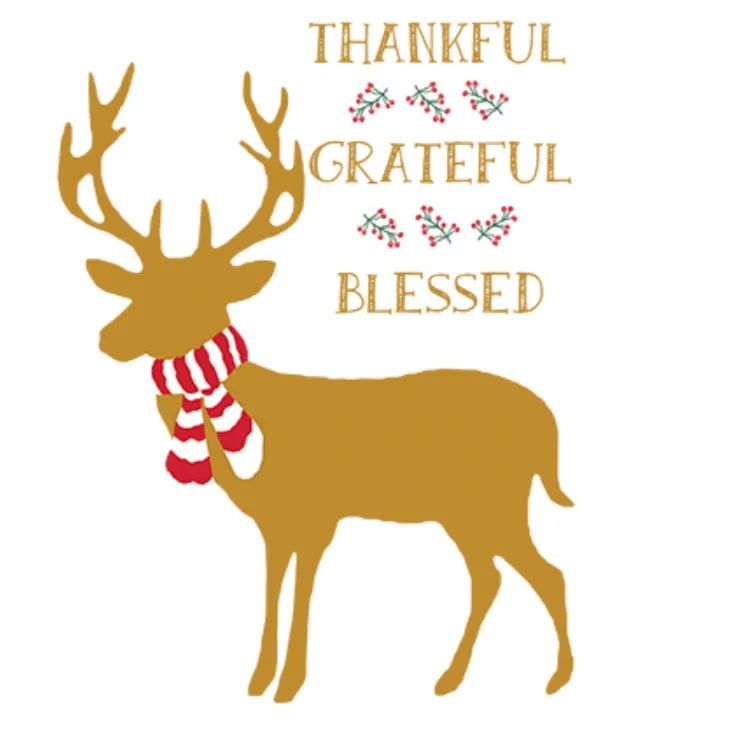 Thankful, Grateful, Blessed Holiday Deer Custom T-Shirt